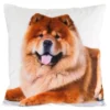 Poszewka Animals 45x45 Chow Chow