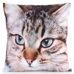 Poszewka Animals 45x45 Kot