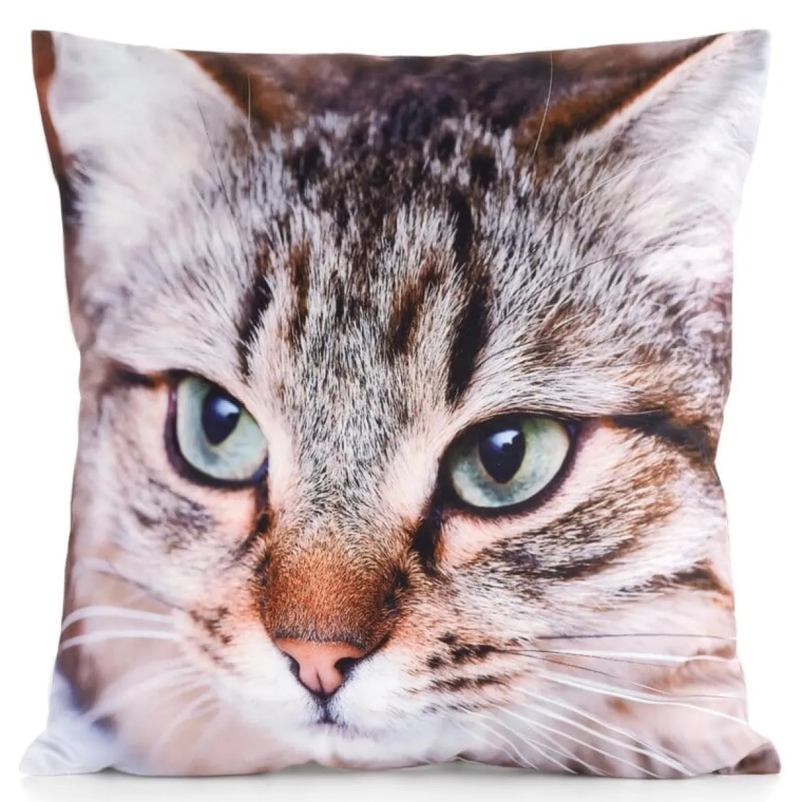 Poszewka Animals 45x45 Kot