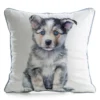 Poszewka Animal 45x45 Szczeniak Husky