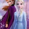 Ręcznik bawełniany dziecięcy licencyjny 70x140 Frozen